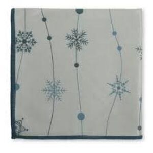 Norwex Stainless Steel Cloth